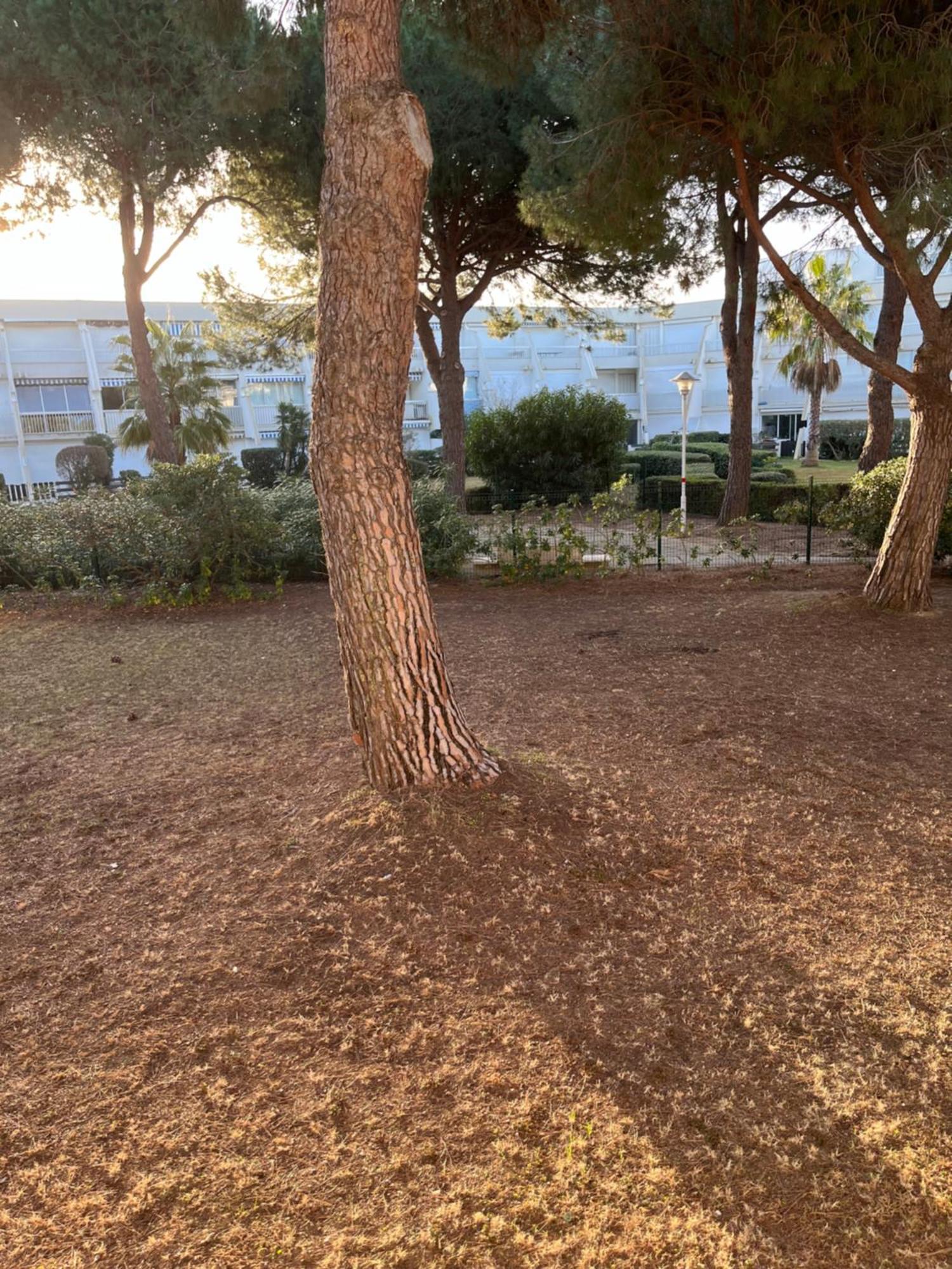 Les Caravelles Plage Sud 勒格罗-迪鲁瓦 外观 照片